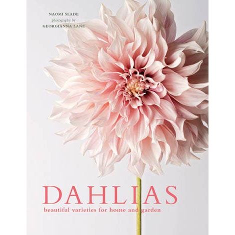 Dahlias; Beautiful Varieties for Home & Garden