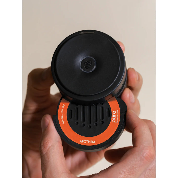 Sea Salt Grapefruit Car Scent