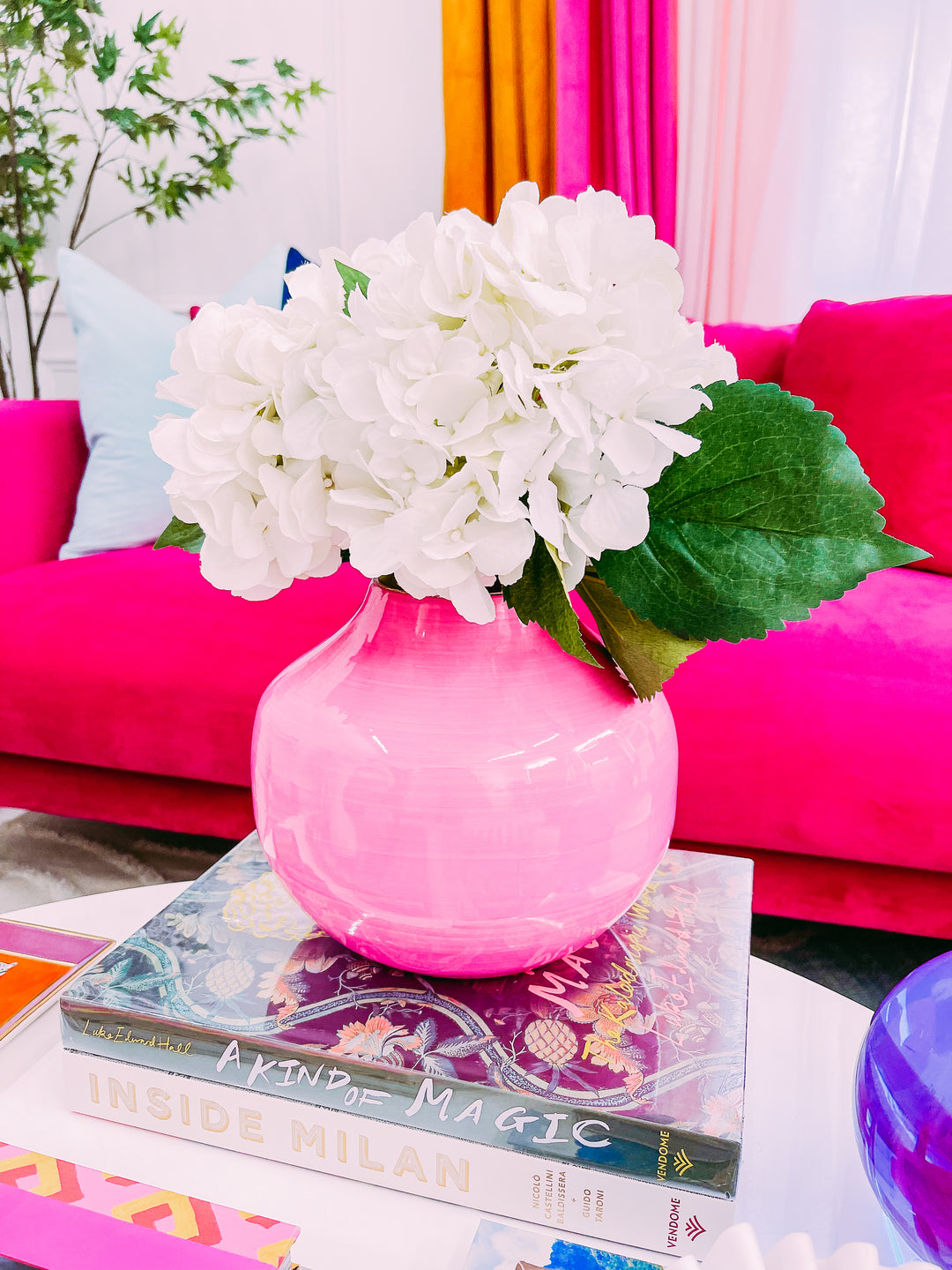 Taking Care of Plants Tips