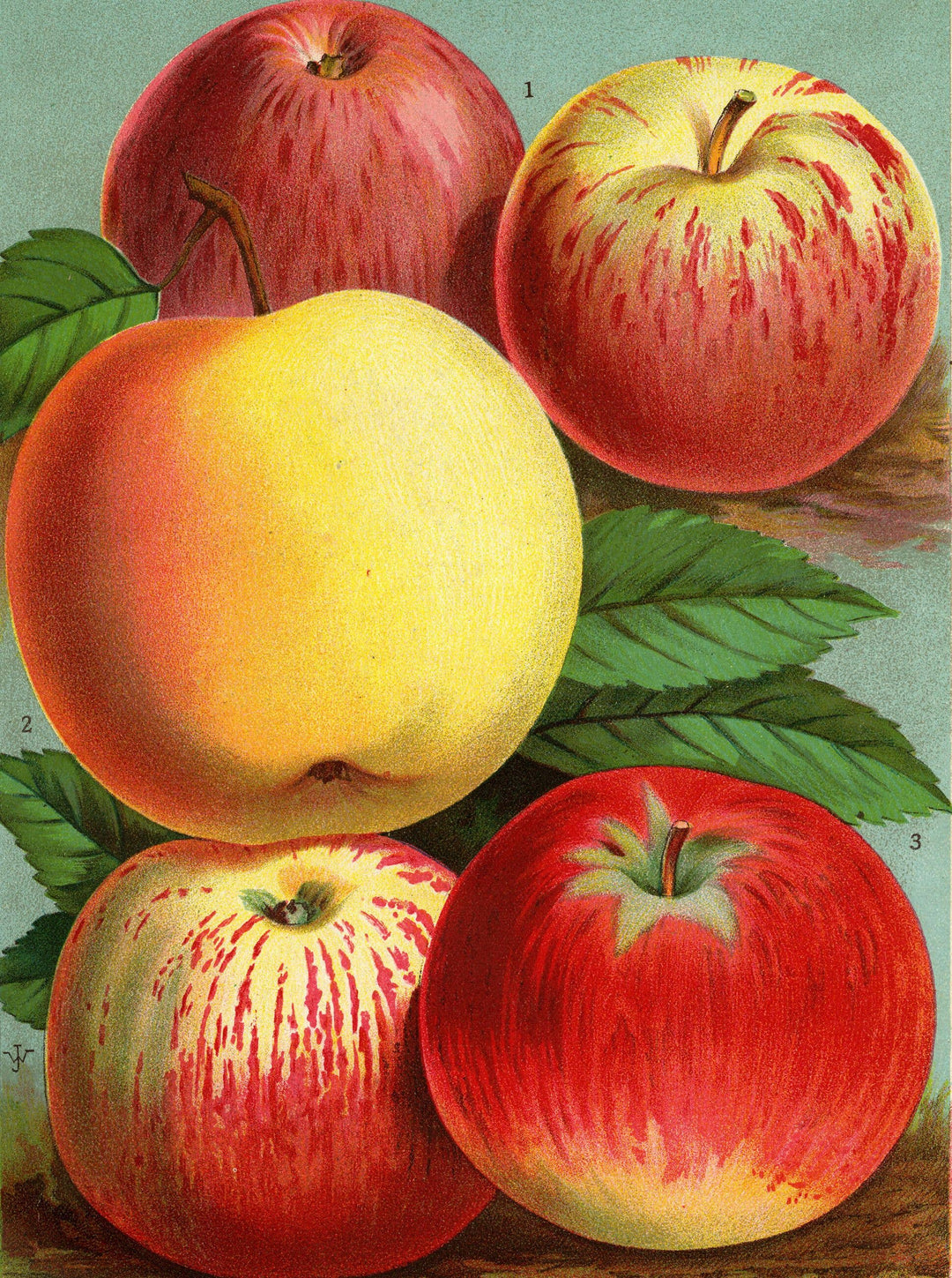 John Derian Paper Goods