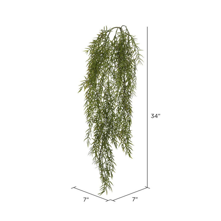 Green Dill Leaf Vine