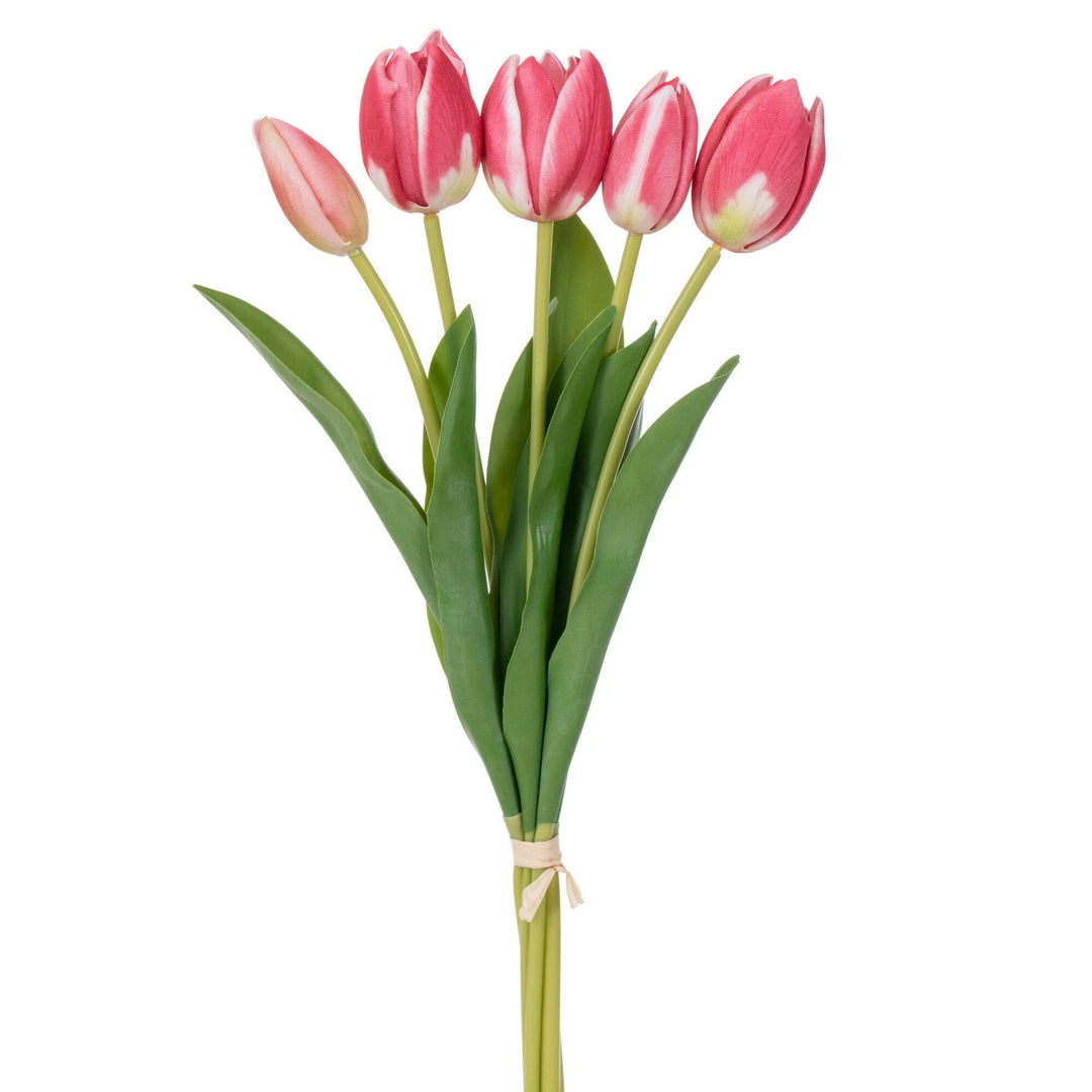 Mauve Cream Tulip Bundle
