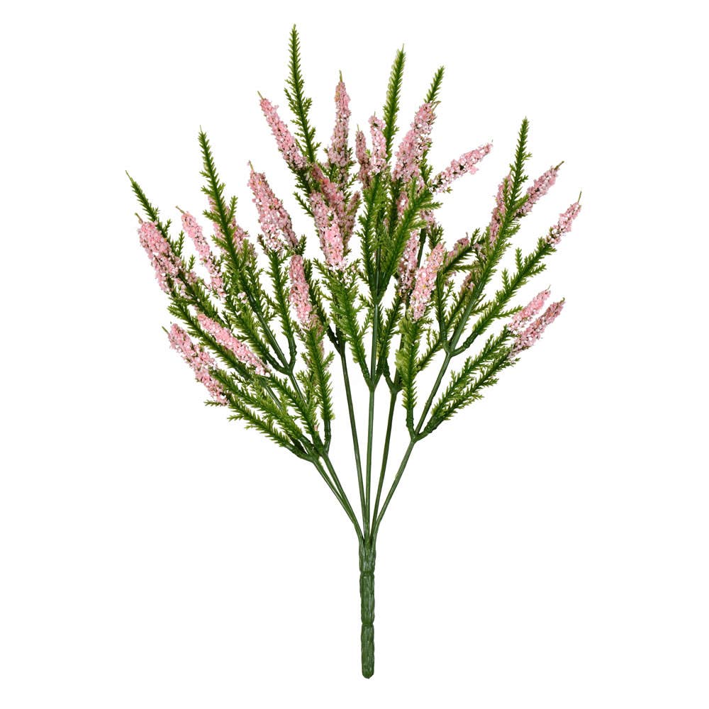 Pink Blazing Star Bush