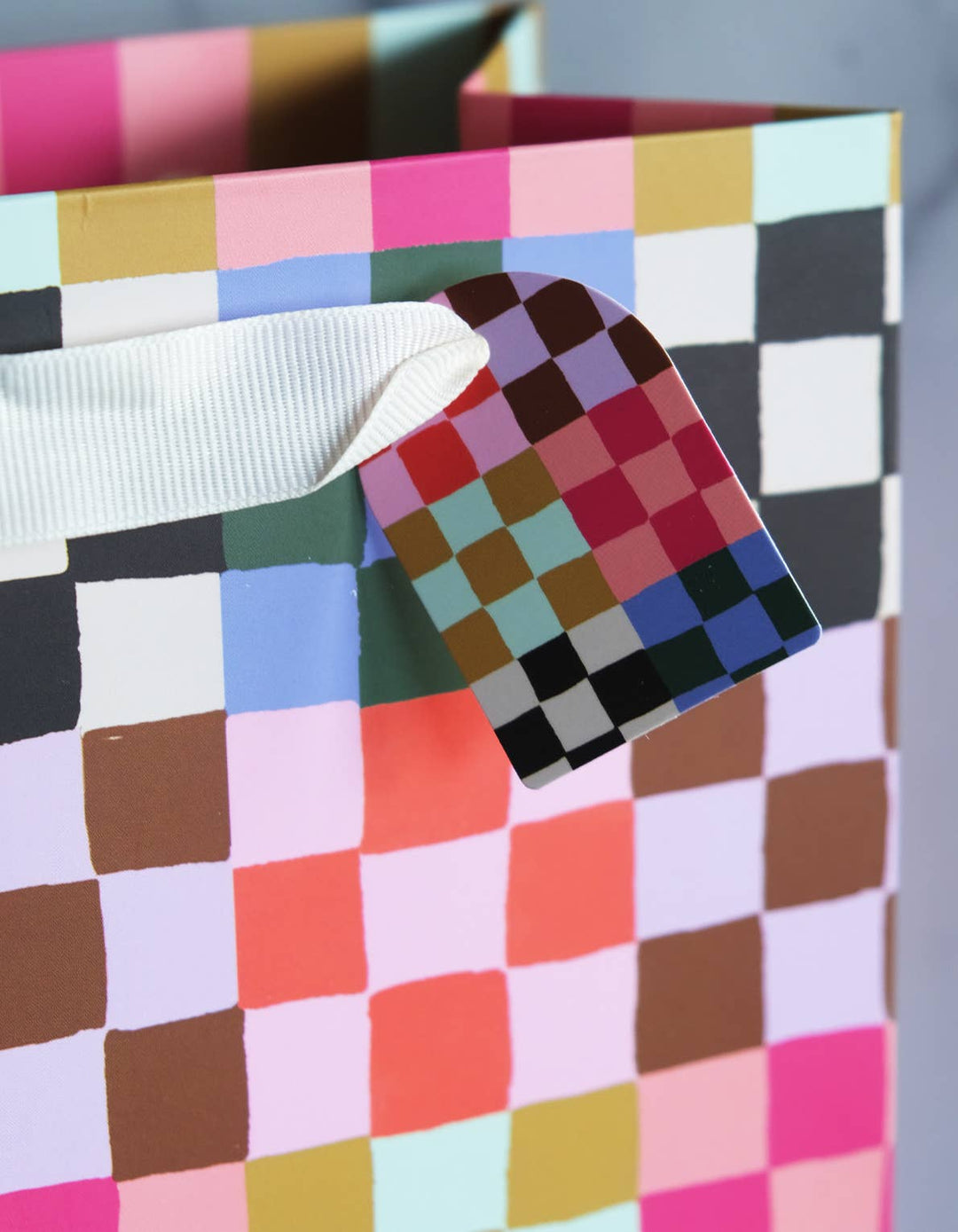 Rainbow Check Print Gift Bag