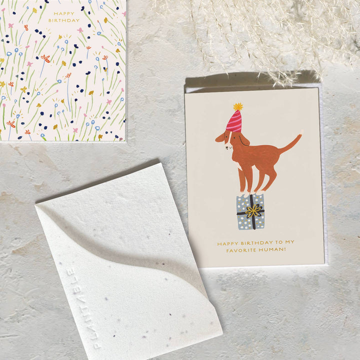Birthday Dog Sprout Card 
