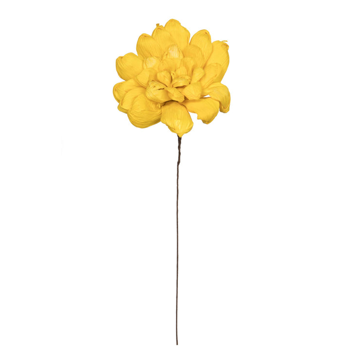 Yellow Maize Dahlia