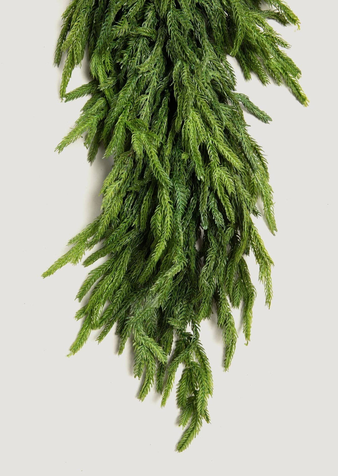 Deluxe Norfolk Pine Garland