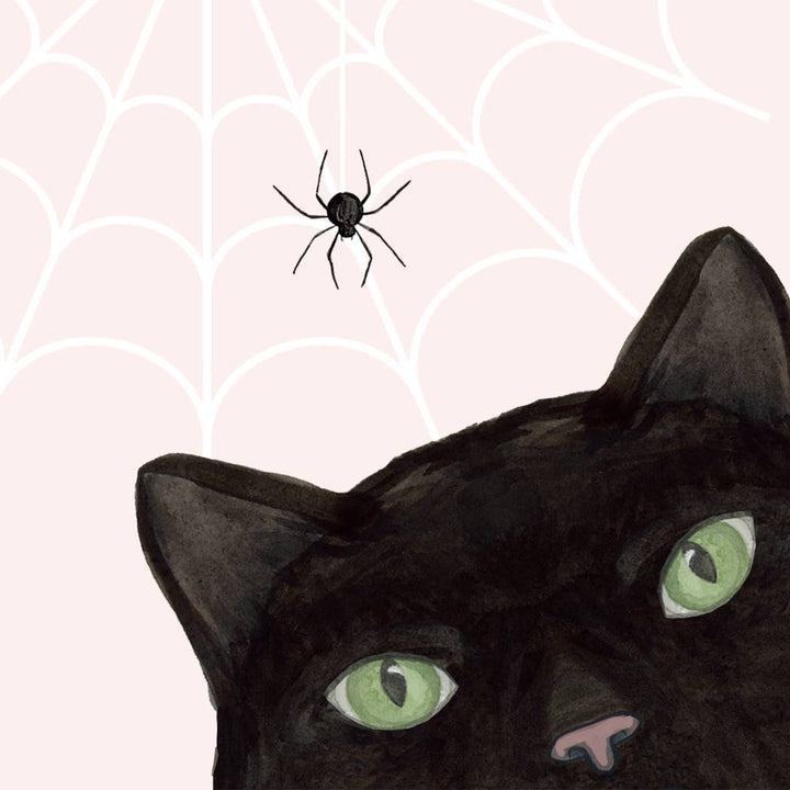 Have a Purrfect Halloween