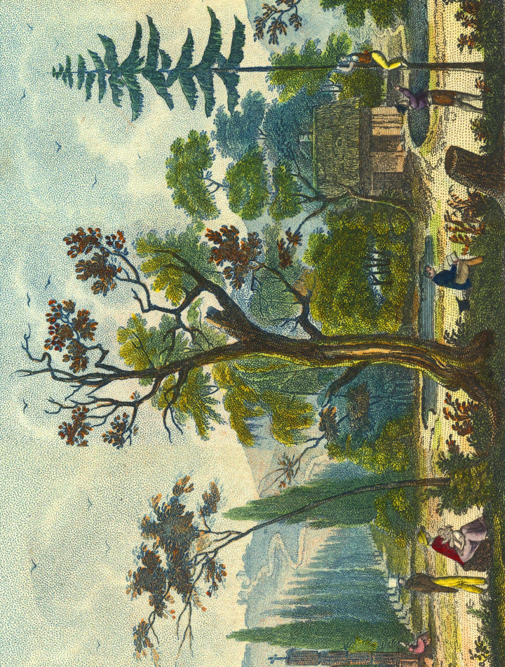John Derian Paper Goods