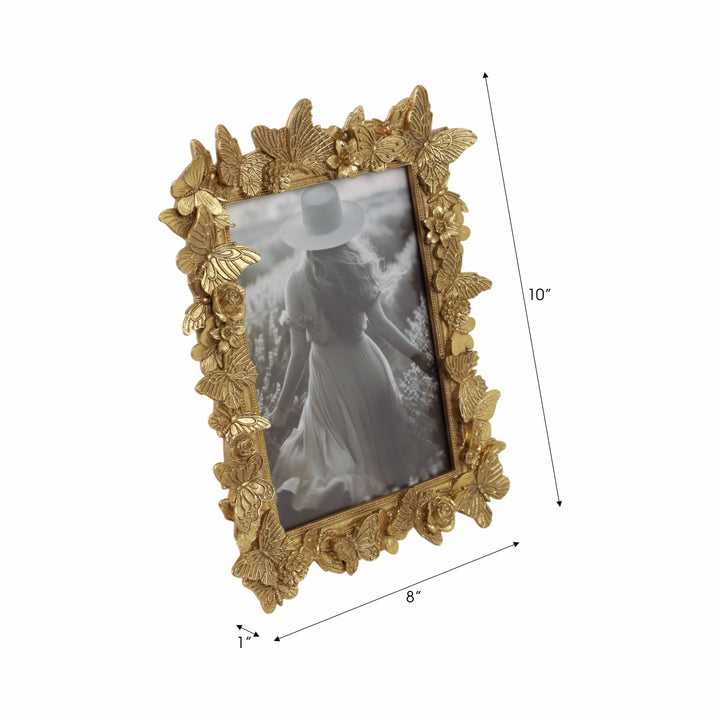 Butterfly Frame