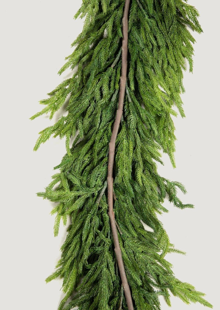 Deluxe Norfolk Pine Garland