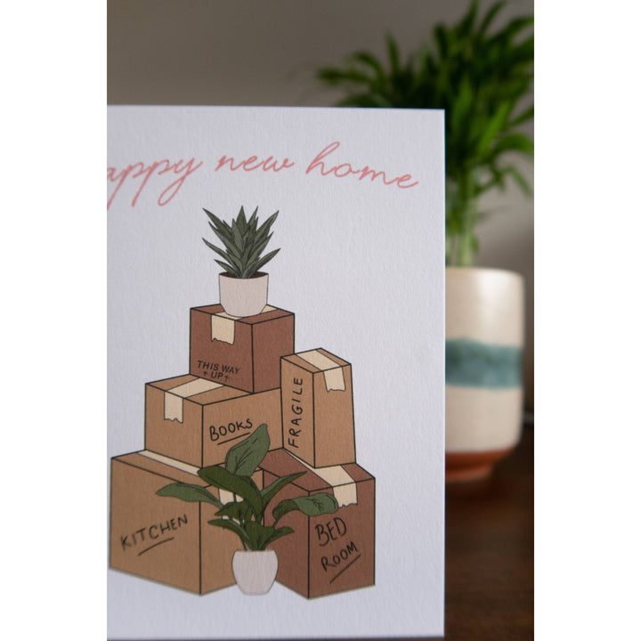 New Home Boxes