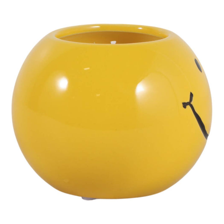 Coconut Goji Smile Candle