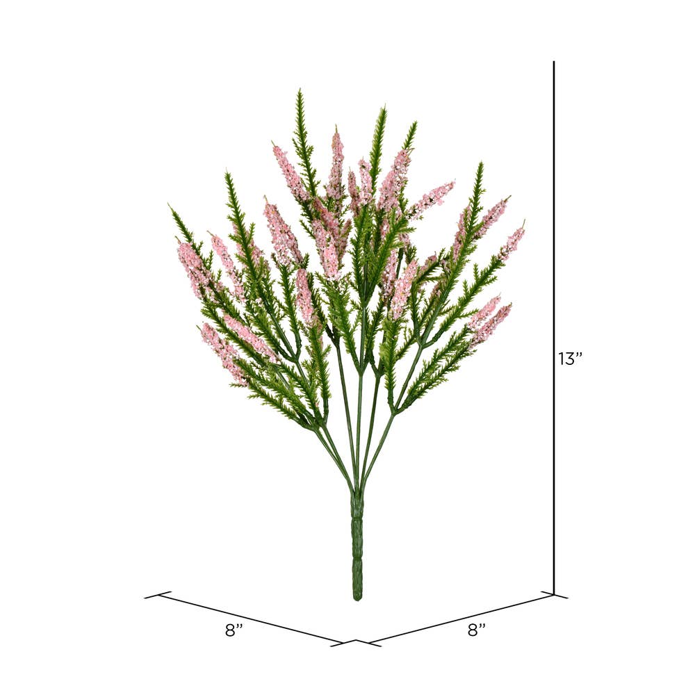 Pink Blazing Star Bush