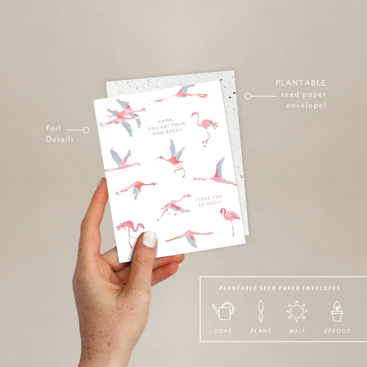Flamingos Card