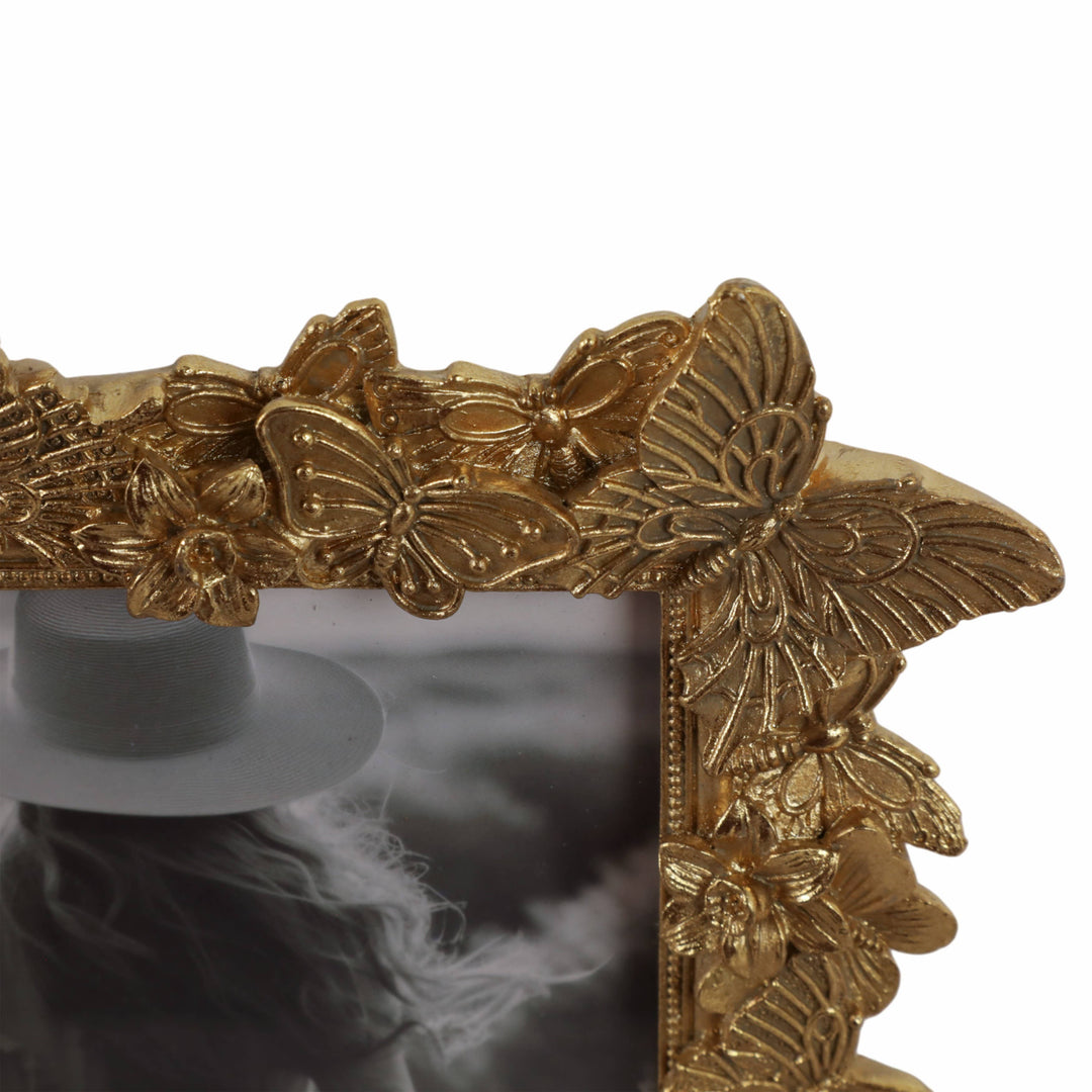 Butterfly Frame