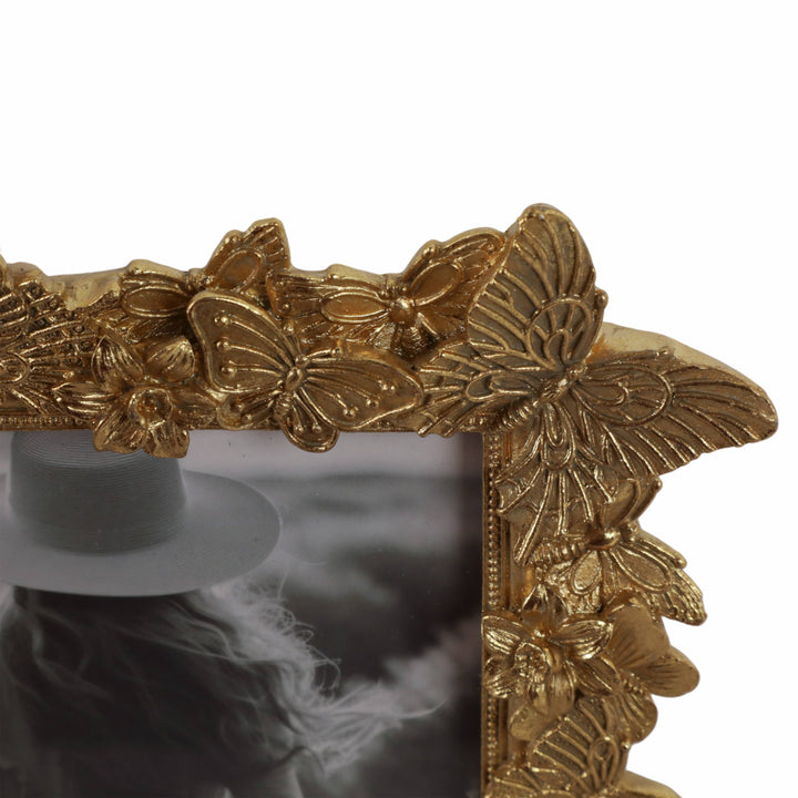 Butterfly Frame