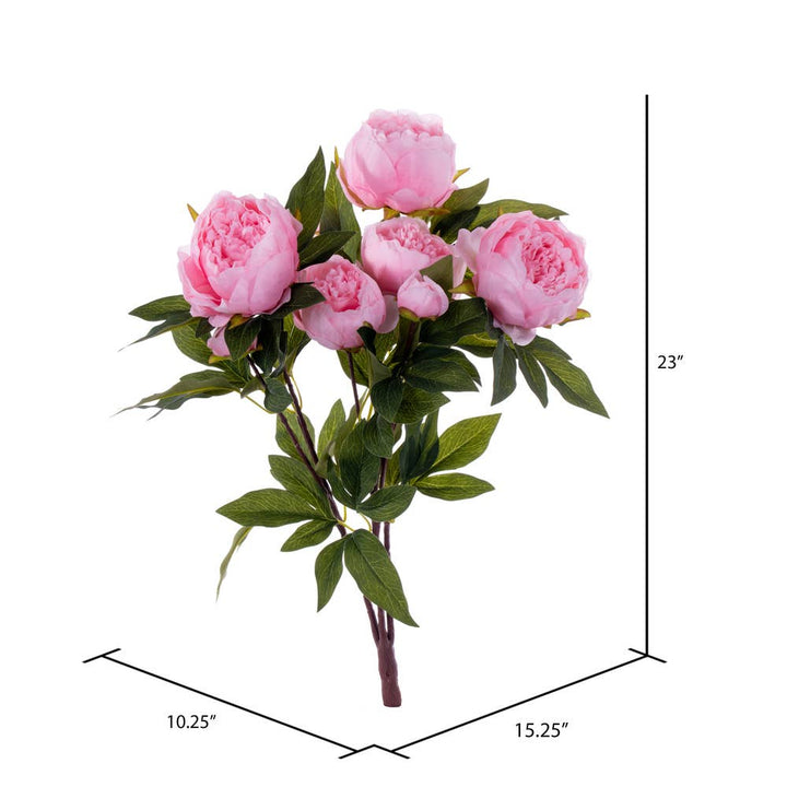 Brush Pink Peony Bush