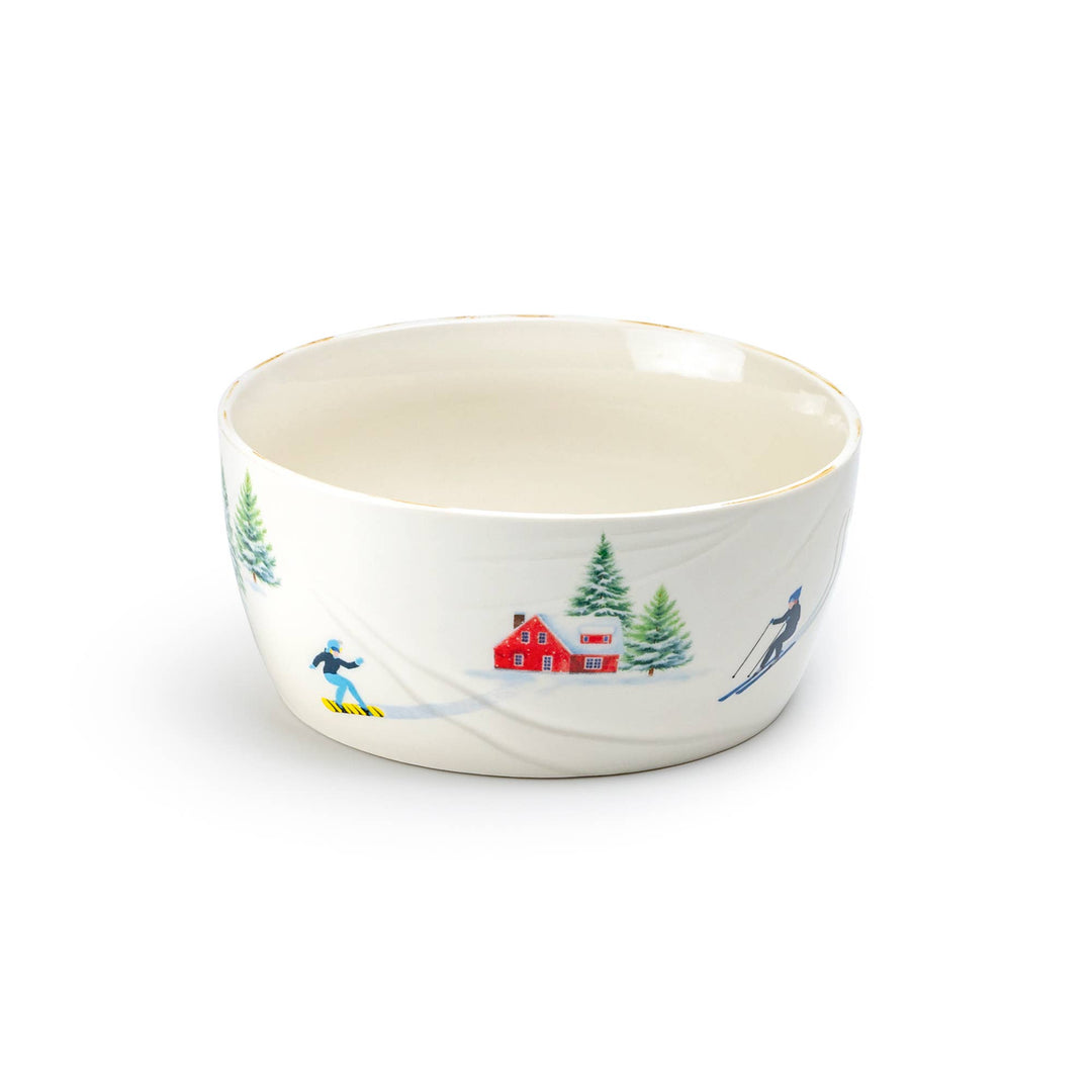 Winter Ski Slope  Bowl