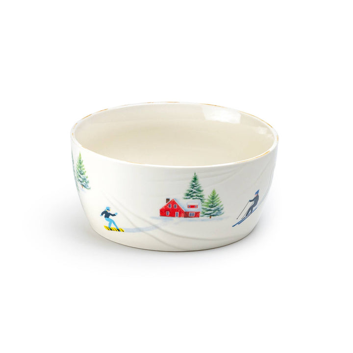 Winter Ski Slope  Bowl