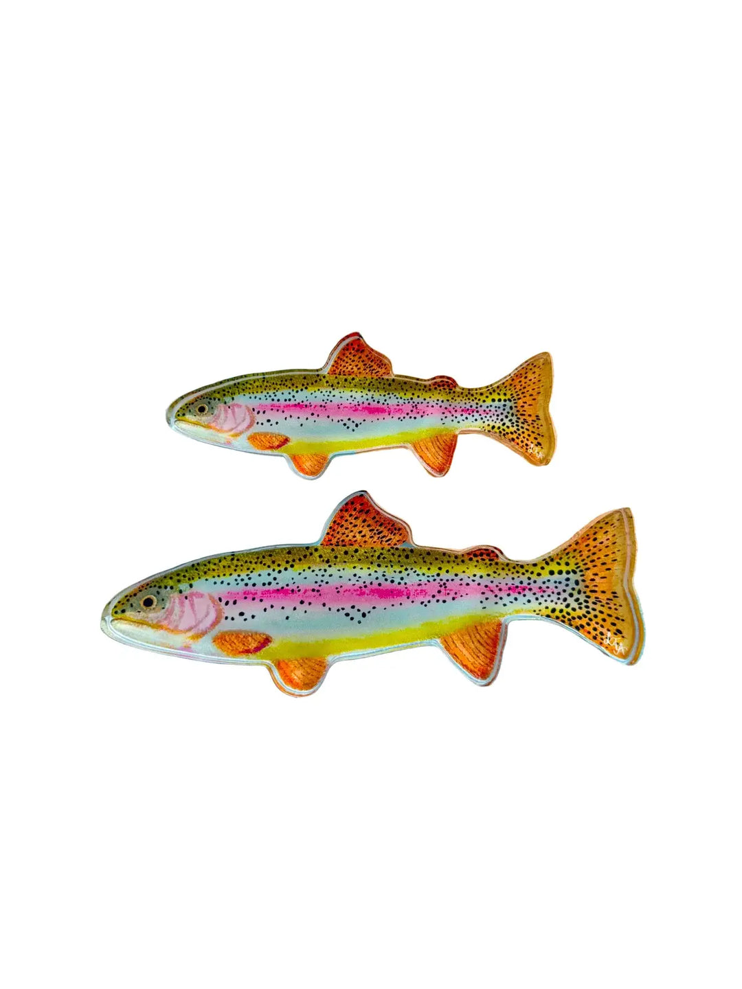 Rainbow Acrylic Trout