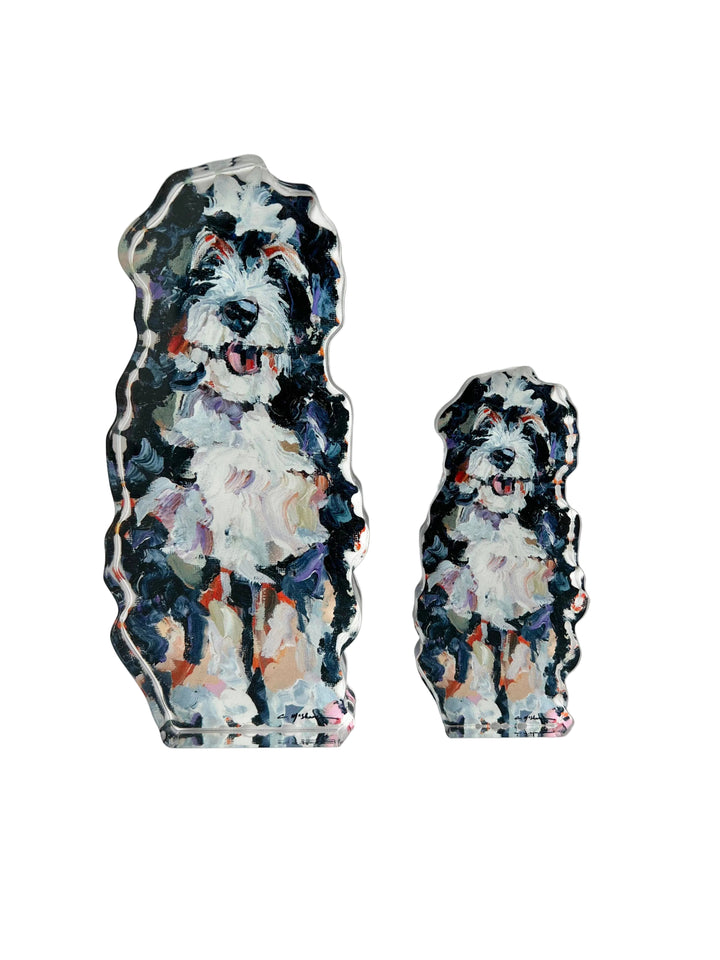 Acrylic Bernedoodle