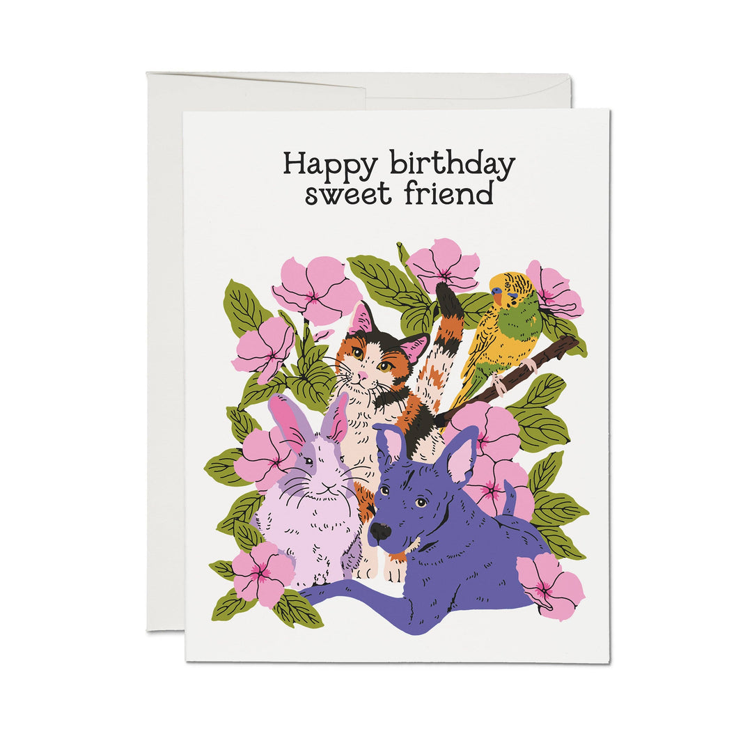 Sweet Friend Card