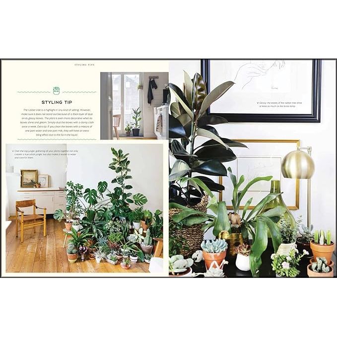 Urban Jungle Living & Styling with Plants