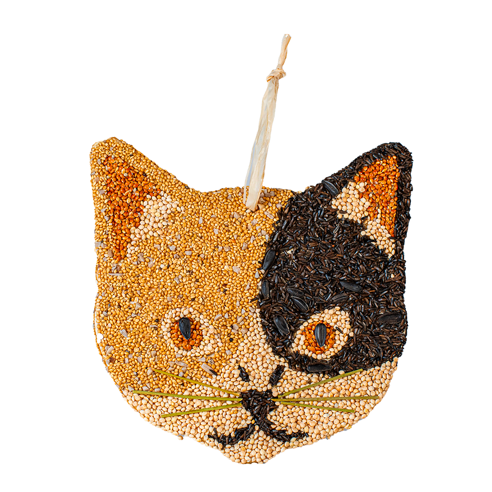 Cat Cookies