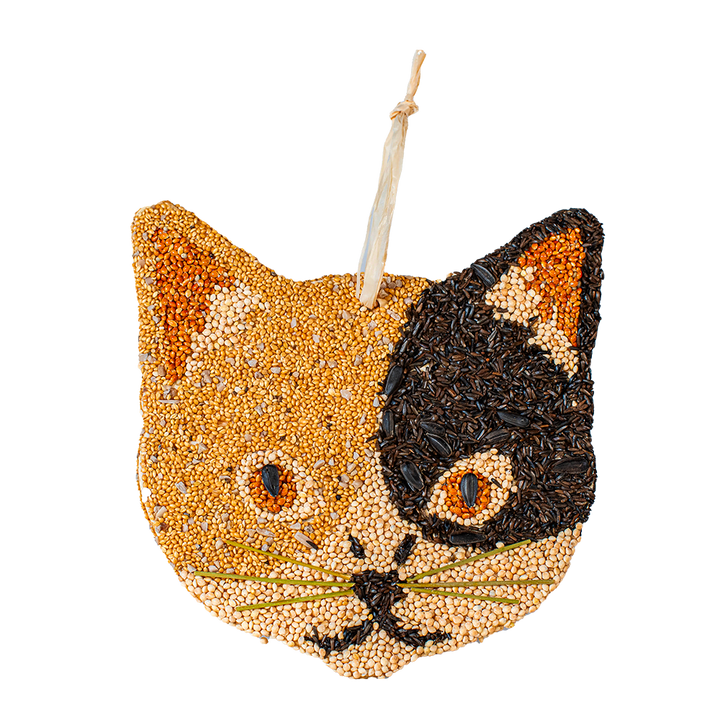 Cat Cookies
