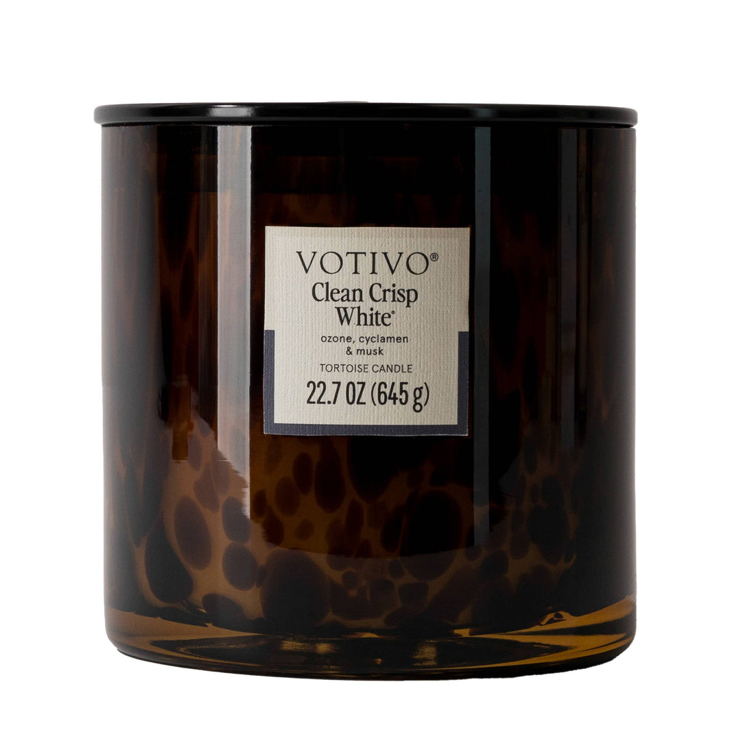 Clean Crisp White Tortoise Candle