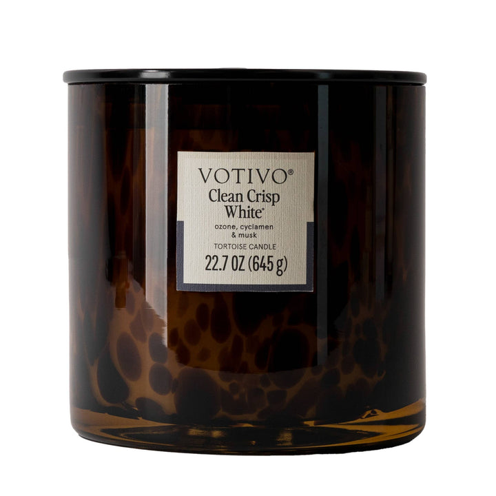 Clean Crisp White Tortoise Candle