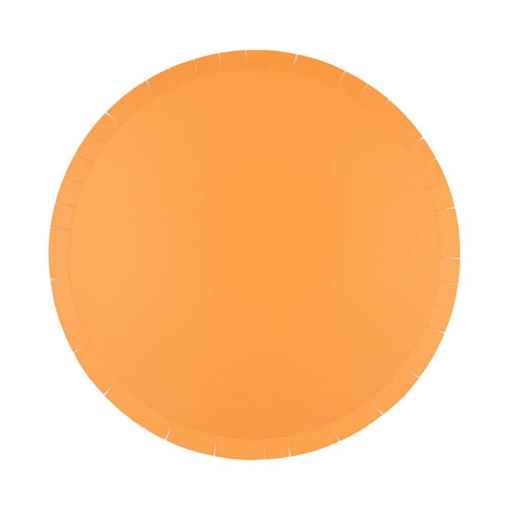 Falmingo Shades Dinner Plates