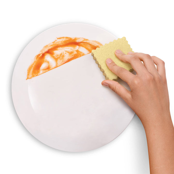 Ravioli Compressed Sponges