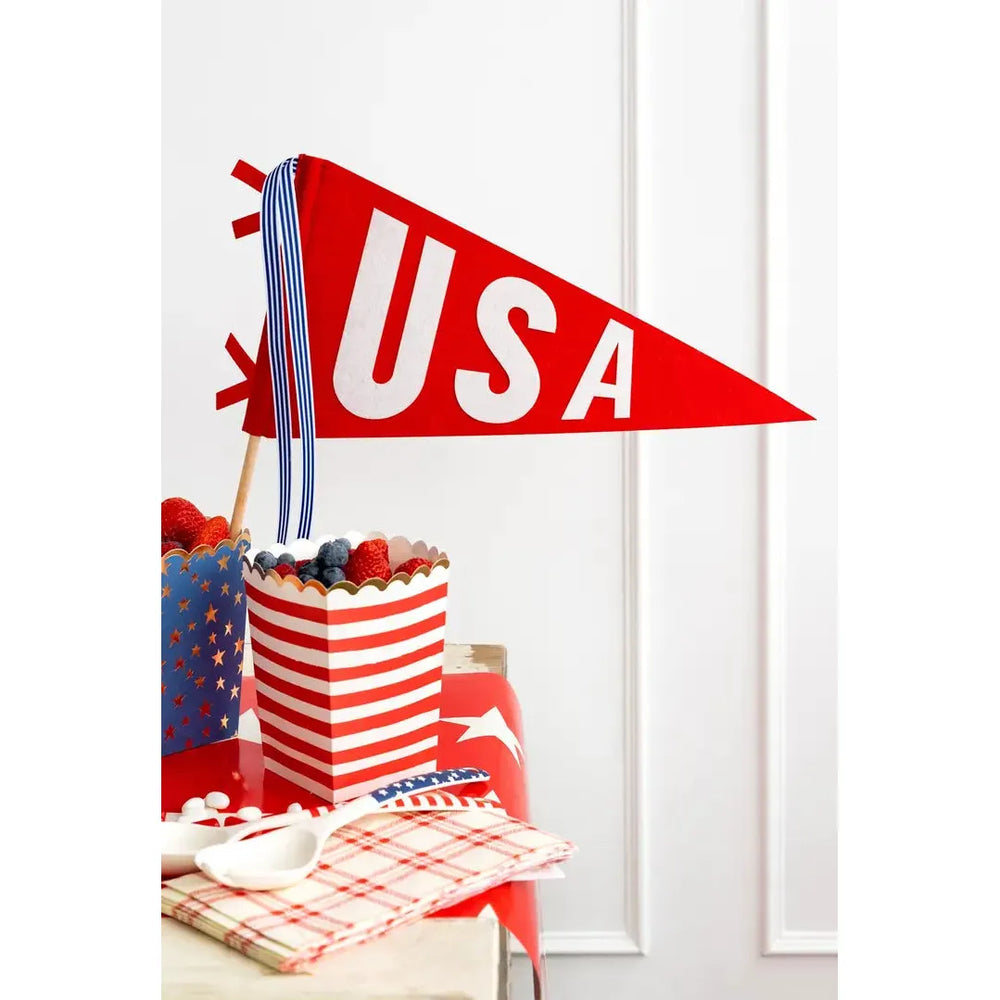 USA America Red White and Blue Party Summer Fourth of July