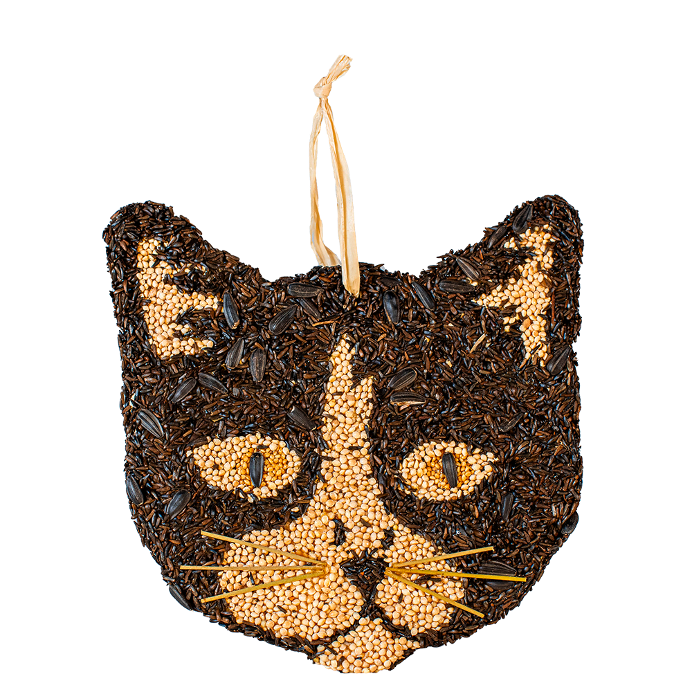 Cat Cookies