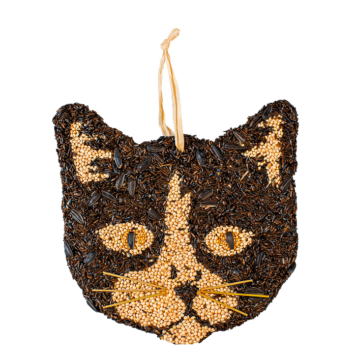 Cat Cookies