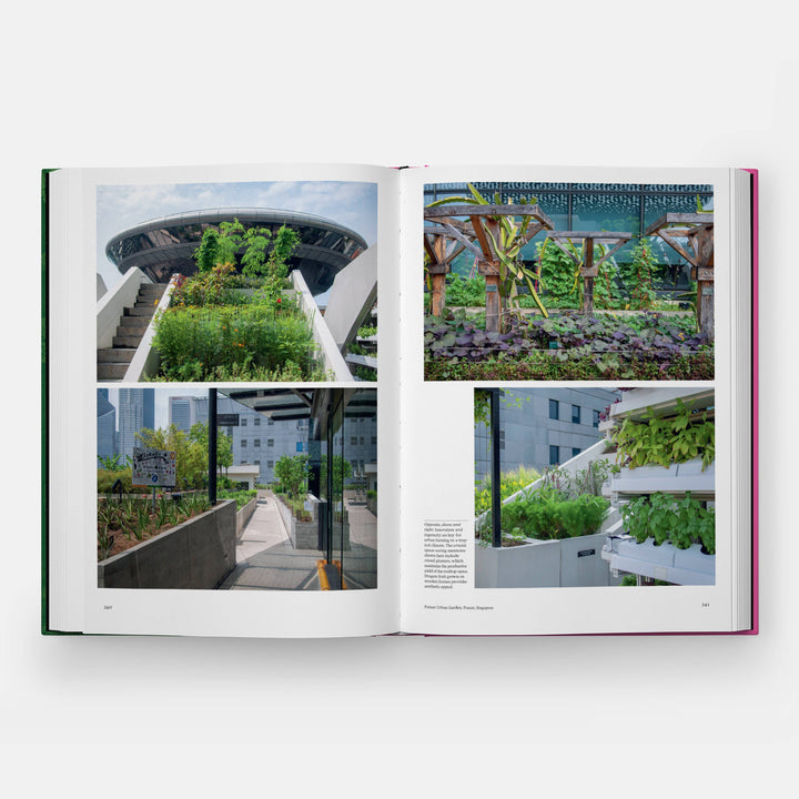 The Kitchen Garden