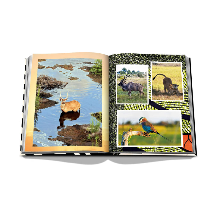 African Adventures: The Greatest Safari on Earth