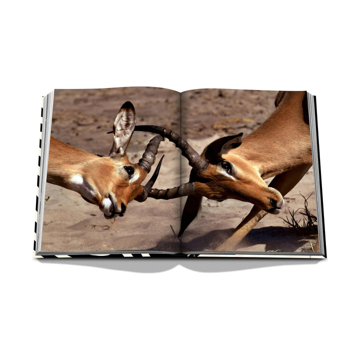 African Adventures: The Greatest Safari on Earth