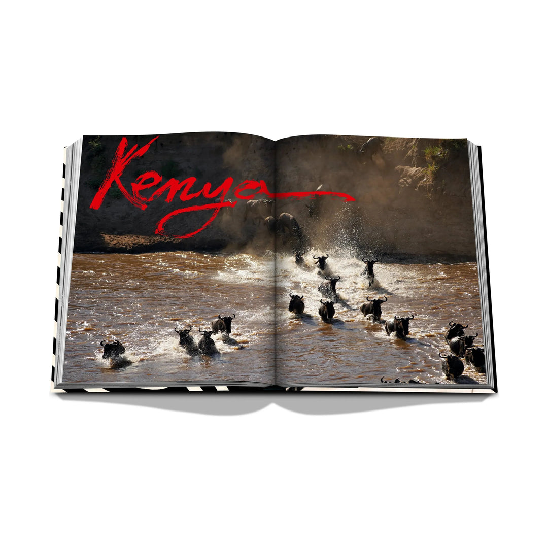 African Adventures: The Greatest Safari on Earth