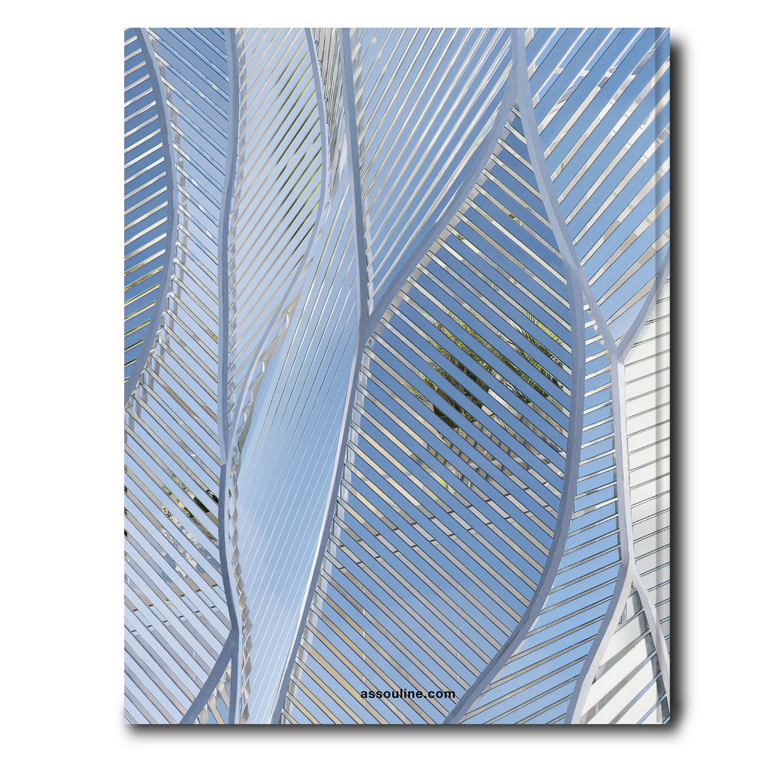 ASSOULINE Louis Vuitton Skin: Architecture of Luxury (Paris