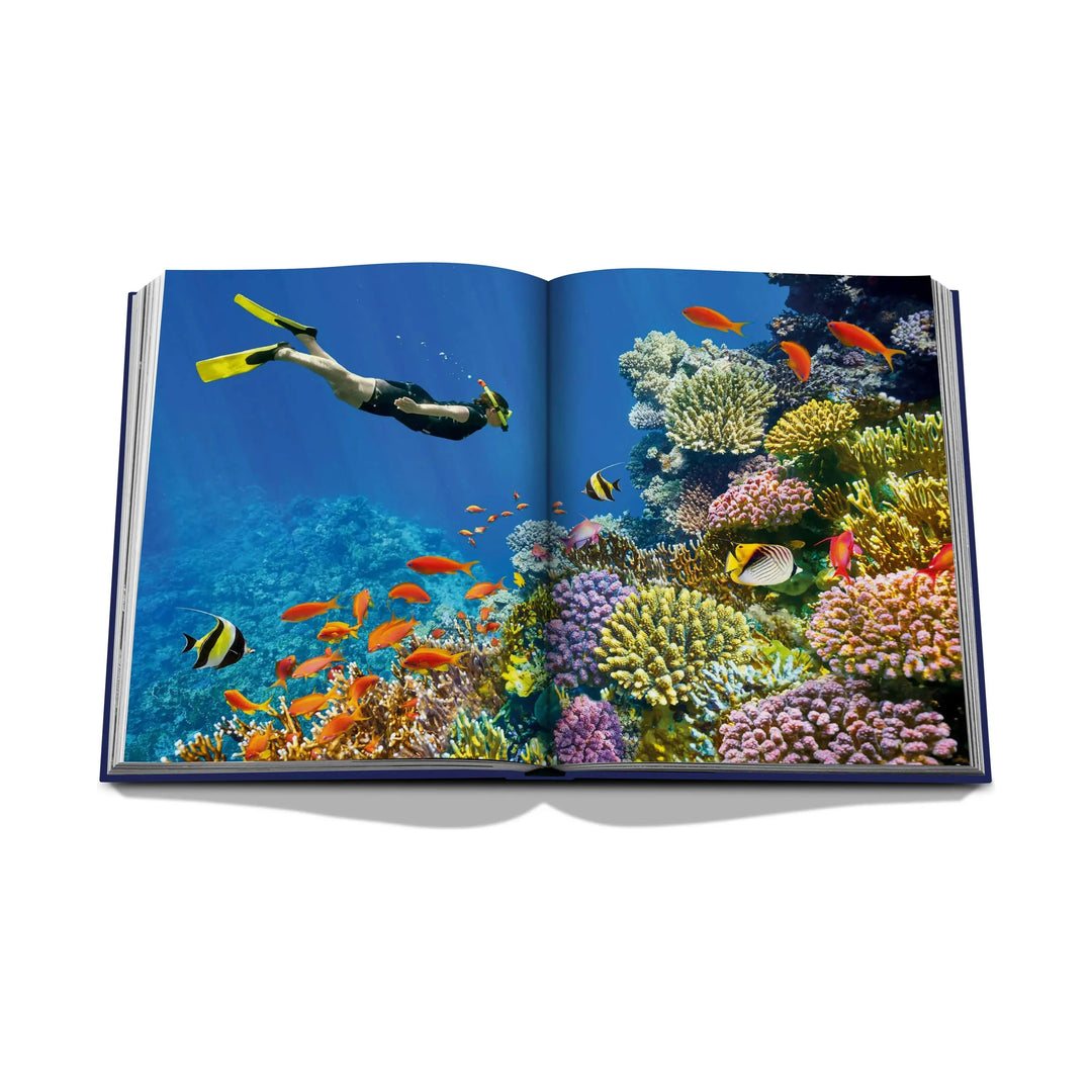 Ocean Book