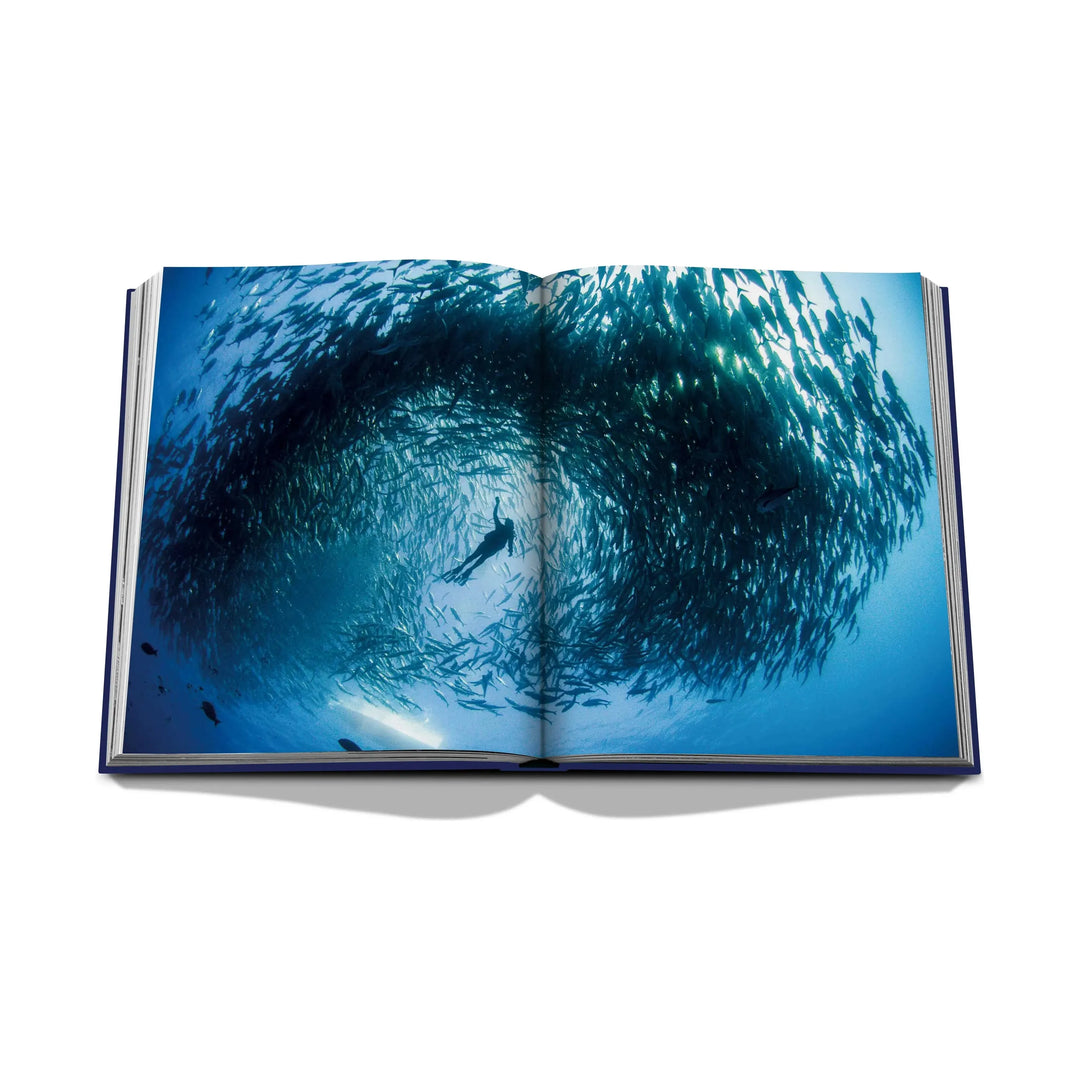 Ocean Book