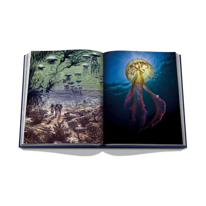 Ocean Book