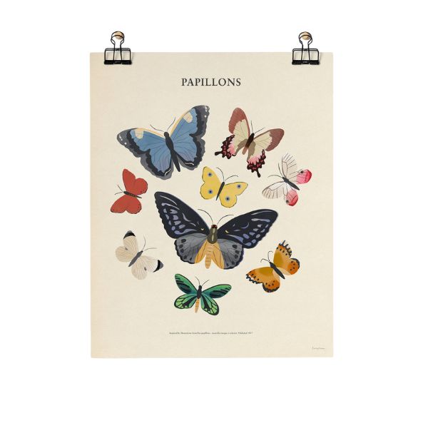 Papillons Butterflies Print
