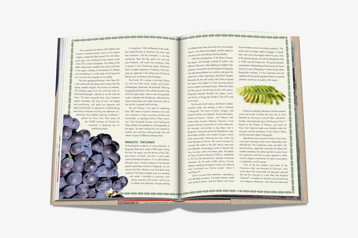 The 100 Burgundy: Exceptional Wines to Build a Dream Cellar