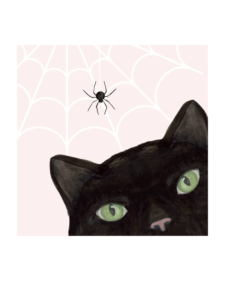 Have a Purrfect Halloween