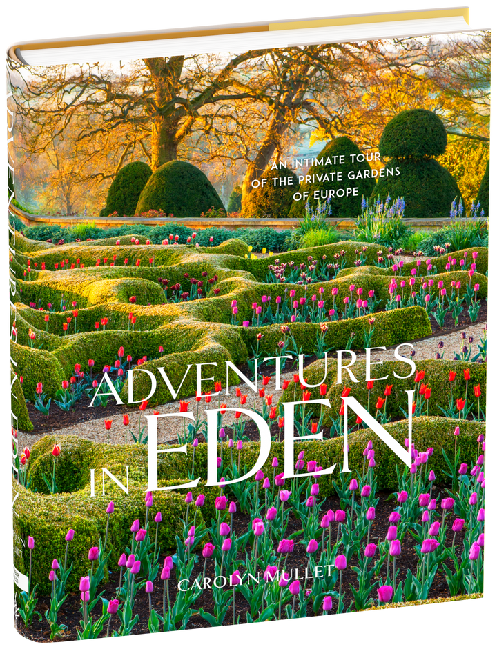 Adventures in Eden
