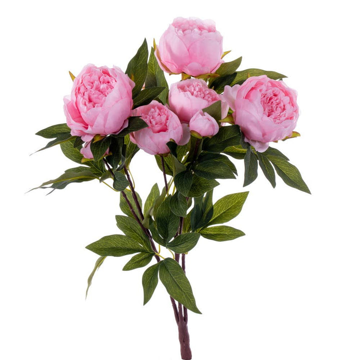 Brush Pink Peony Bush